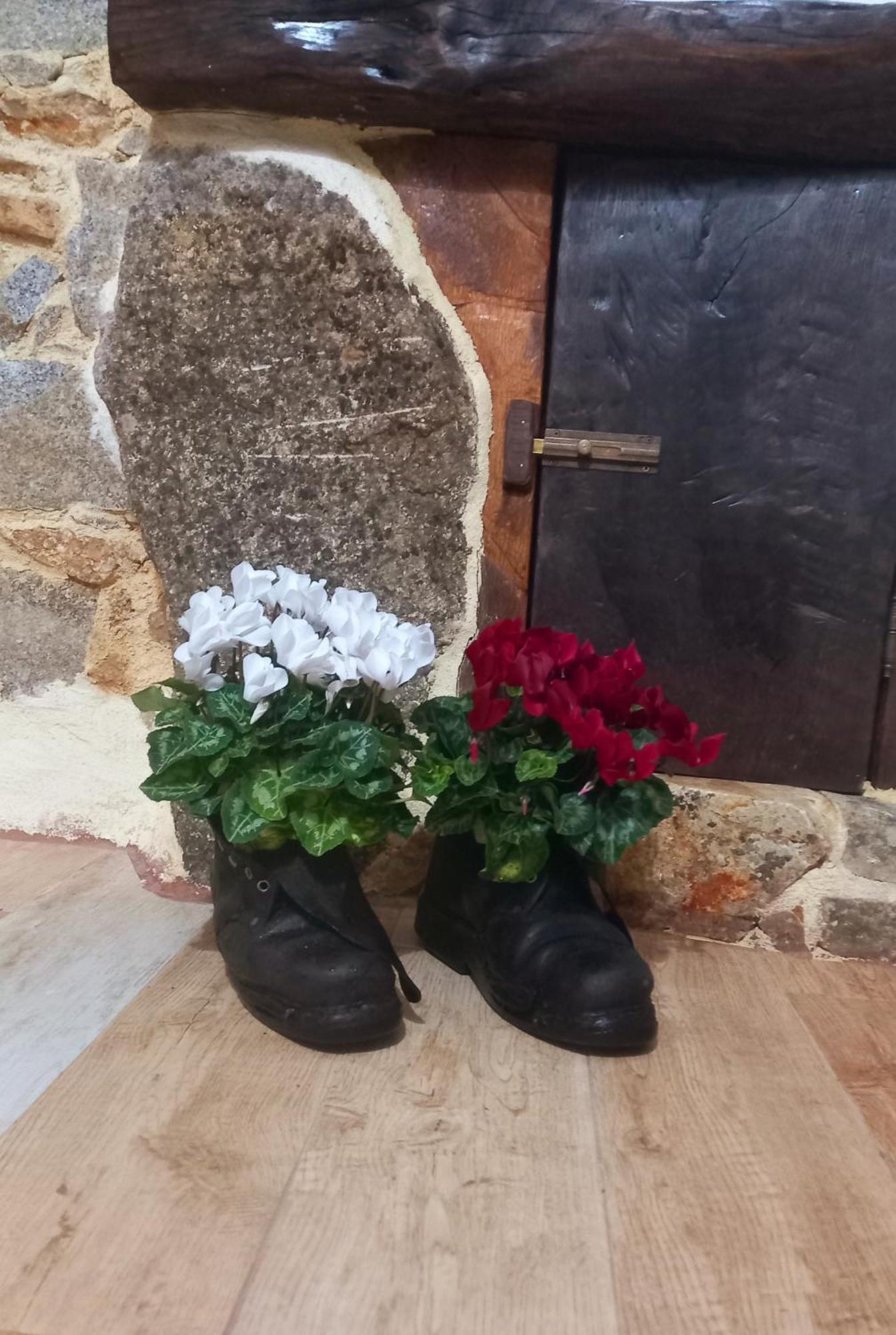 פוני "B&B Santu Giuvanni" מראה חיצוני תמונה